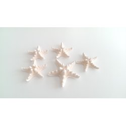 SET 5 STELLE MARINE BIANCO BEIGE - HORN