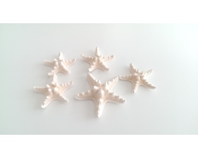 SET 5 STELLE MARINE BIANCO BEIGE - HORN