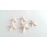 SET 5 STELLE MARINE BIANCO BEIGE - HORN
