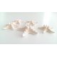 SET 5 STELLE MARINE BIANCO BEIGE - HORN