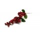 RAMETTO DI BACCHE ROSSE (PICK)