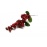 RAMETTO DI BACCHE ROSSE (PICK)