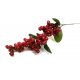 RAMETTO DI BACCHE ROSSE (PICK)