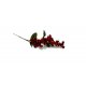 RAMETTO DI BACCHE ROSSE (PICK)